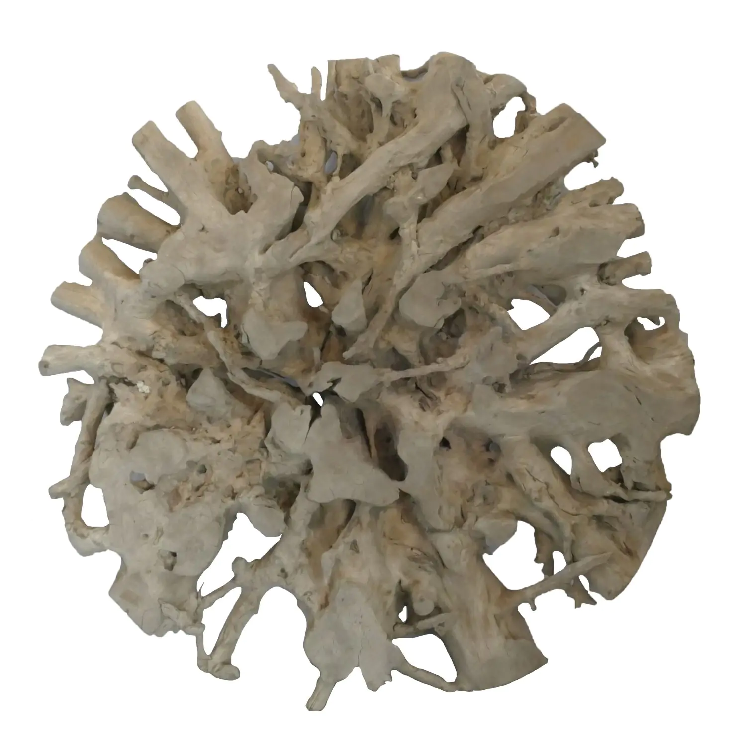  Product image 2 of the product “Up table from teak root. About 152cm length, 24cm thickness ”